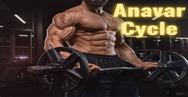Articles Image The Anavar Cycle - A Guide to Steroid Cycles with Oxandrolone