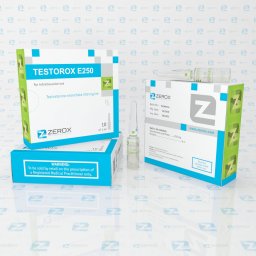 Testorox E250 - Testosterone Enanthate - Zerox Pharmaceuticals